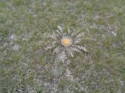 190512_Florac028.jpg