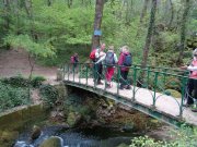 190512_Florac035.jpg