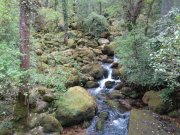 190512_Florac036.jpg