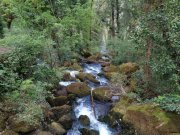 190512_Florac037.jpg