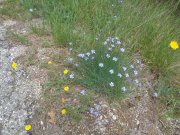 190509_Popian003.jpg