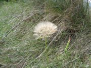 190509_Popian004.jpg