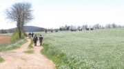 190506_Frayssinet020.jpg