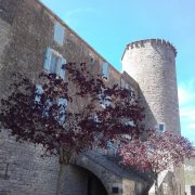 190506_Frayssinet028B.jpg