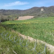 190506_Frayssinet043.jpg