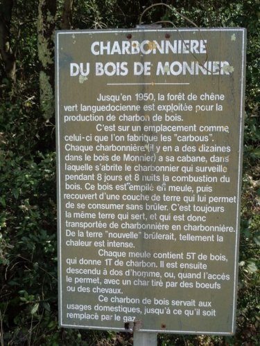 Cliquer pour voir l'image en taille réelle
