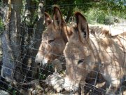 190502_Montoulieu018.jpg