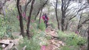 190428_Amialet009.jpg