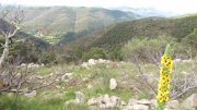 190428_Amialet011.jpg
