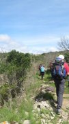 190428_Amialet015.jpg