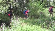 190428_Amialet017.jpg