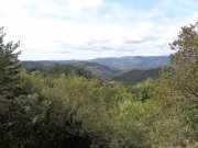 190428_Amialet017A.jpg