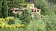 190428_Amialet030.jpg