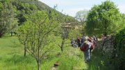 190428_Amialet036.jpg