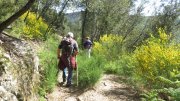 190428_Amialet049.jpg
