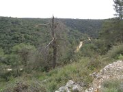 190418_Aniane009.jpg