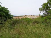 190418_Aniane012.jpg