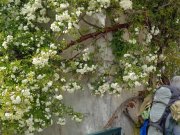 190418_Aniane017.jpg