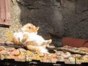 190408_Octon007.jpg