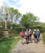 190408_Octon016.jpg