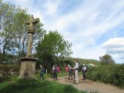 190408_Octon018.jpg