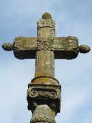 190408_Octon020.jpg