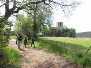 190408_Octon021.jpg