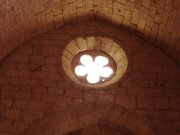 190408_Octon024.jpg