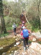 190408_Octon027.jpg