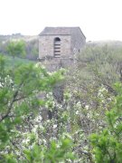 190408_Octon031.jpg