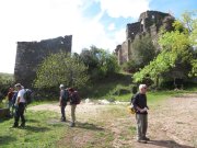 190408_Octon036.jpg