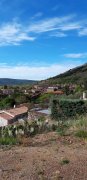 190408_Octon037.jpg