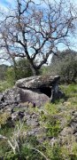 190408_Octon041.jpg