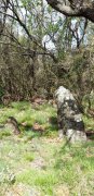 190408_Octon042.jpg
