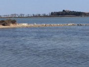 190328_Villeneuve003.jpg