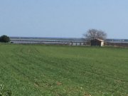 190328_Villeneuve005.jpg