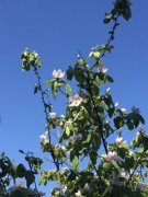 190328_Villeneuve007.jpg