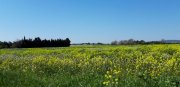 190328_Villeneuve009.jpg
