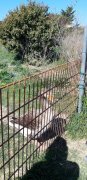 190328_Villeneuve011.jpg
