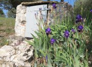 190325_Tornac014.jpg
