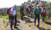 190325_Tornac019.jpg
