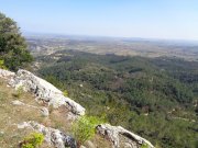 190325_Tornac019B.jpg