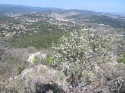 190325_Tornac020.jpg