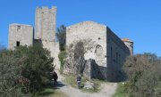190325_Tornac031.jpg