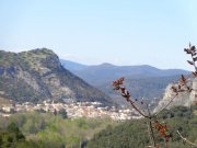 190325_Tornac033C.jpg
