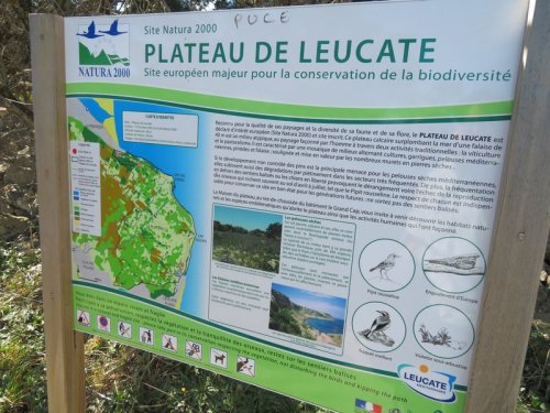 Cliquer pour voir l'image en taille réelle