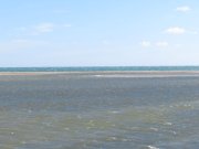 190318_Leucate004.jpg