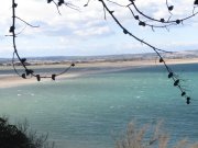 190318_Leucate029.jpg