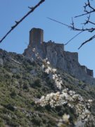 190317_Queribus014B.jpg