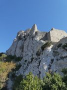 190317_Queribus018A.jpg